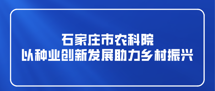 课程