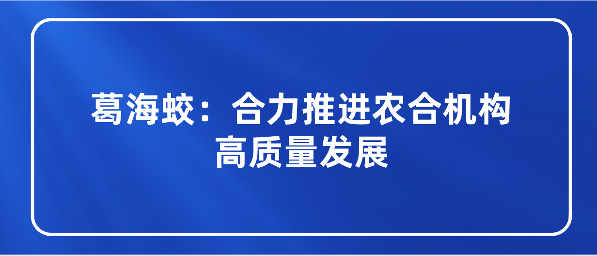 课程