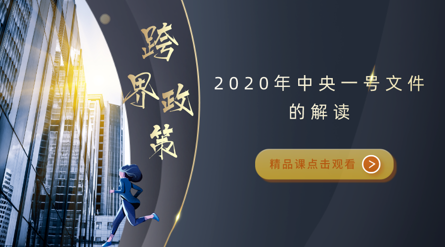 2020年中央一号文件的解读