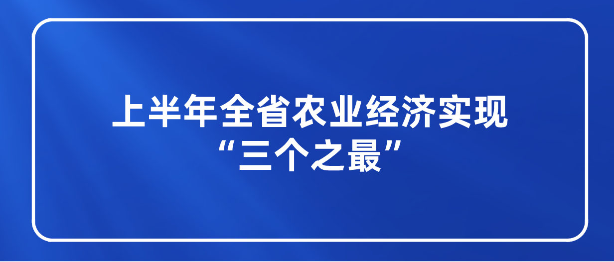 课程