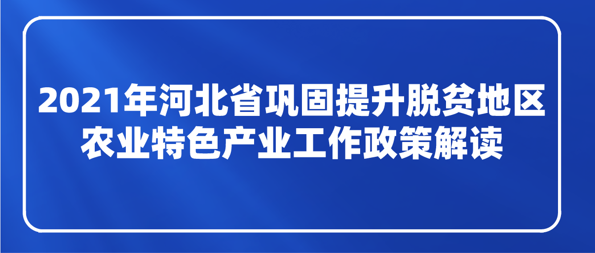 课程